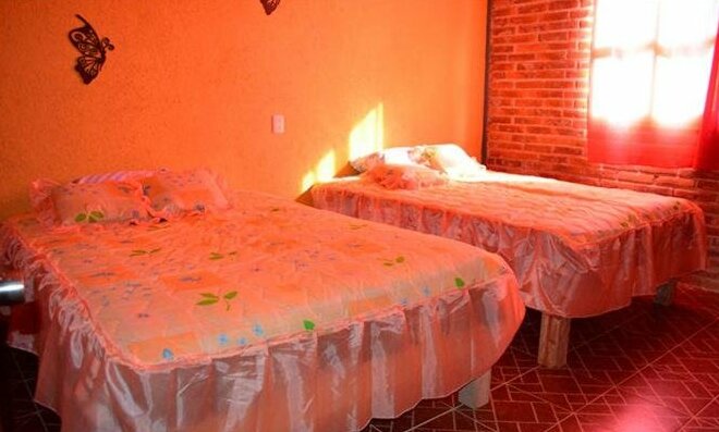 Cabanas Canto De Las Ranas - Photo4
