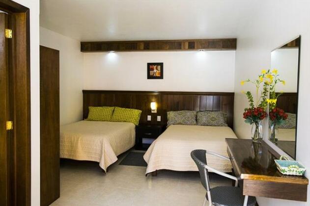 Real Zapotlan Hotel - Photo4