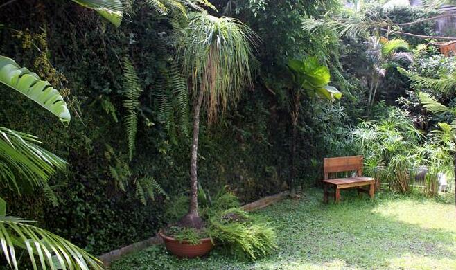 Border Jungle home - Garden Double Room - Photo5