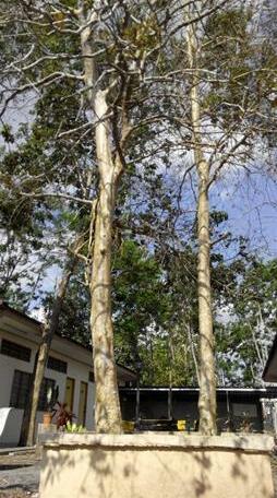 K Hause - Photo4