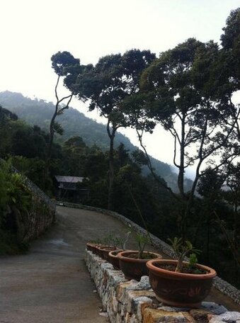 Bao Sheng Durian Farm - Photo4