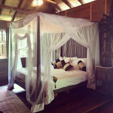 Fig Tree Hill Resort - Photo4