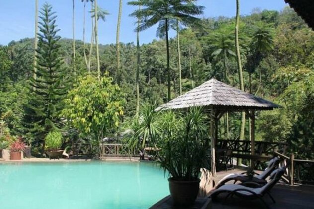 Fig Tree Hill Resort - Photo5