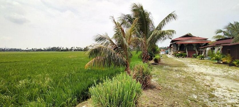 Homestay Bendang Indah - Photo4