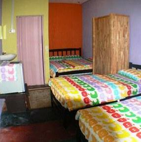 Lazyboys Guesthouse - Photo4