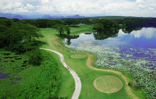 Clearwater Sanctuary Golf Resort - Photo2