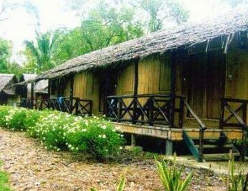 Borneo Proboscis River Lodge