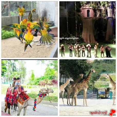 Bukit Gambang Imtinan Homestay - Photo3