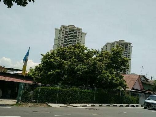 Cozy Mount Erskine Homestay - Photo2