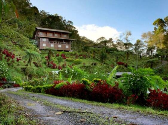 Kinabalu Mountain Lodge - Photo5