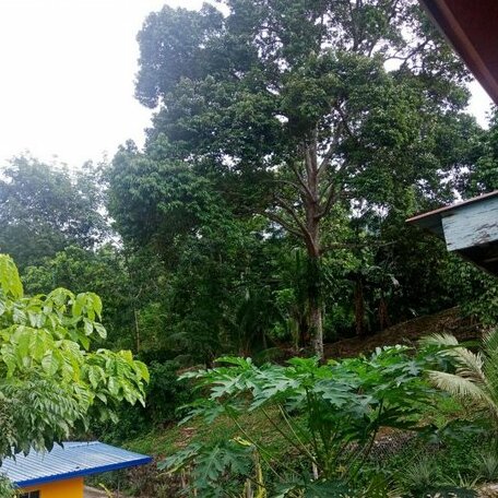Arvad's Cottage A - Photo4