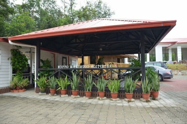 Borneo Tree House - Photo4