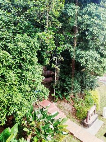 The Treehouse Loft - Photo5