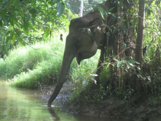 Homestay Seratu Balai Gabpi - Photo4