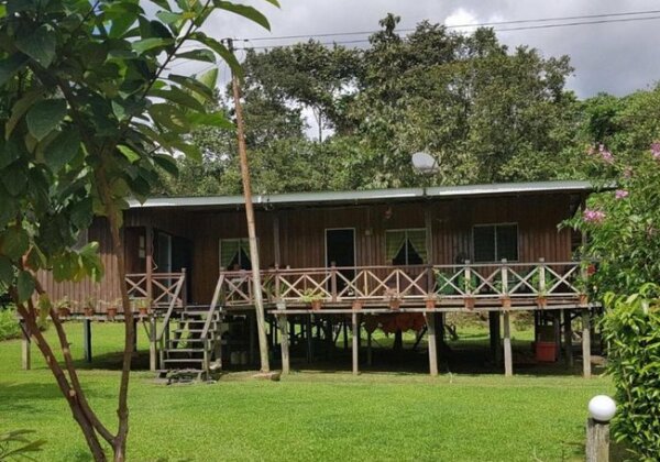 Osman's Homestay - Photo2