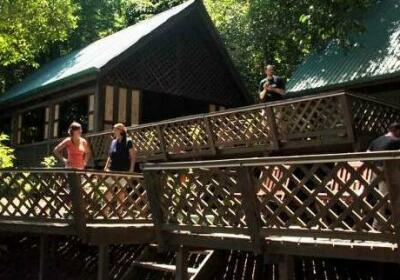 Tungog Rainforest Eco Camp
