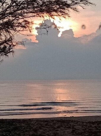 Davallia Homestay - Photo4