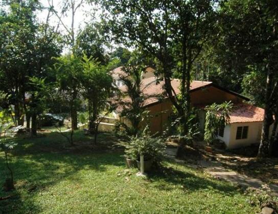 Jungle Resort - Photo3