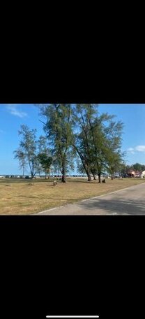 Eighty eight swordfish home stay - Photo4