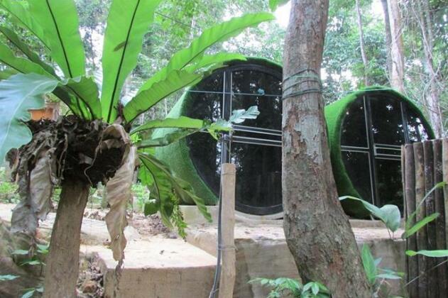 Danz Eco Resort - Photo4