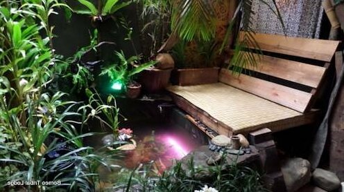 Borneo Tribal Lodge - Photo5