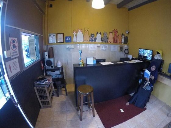QuiikCat - Photo3