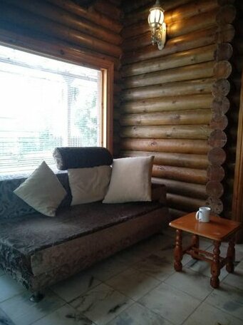 Log Cabin House - Photo2