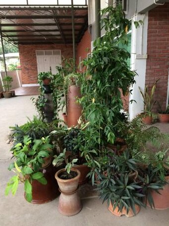 Majalaba Homestay - Photo4