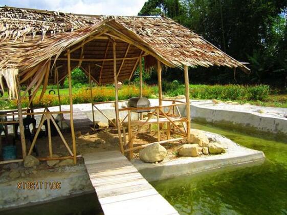 Kinabalu Poring Vacation Lodge - Photo3
