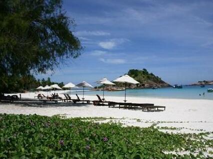 Coral Redang Island Resort - Photo5