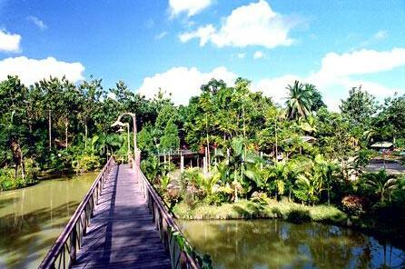 Sepilok Jungle Resort - Photo4