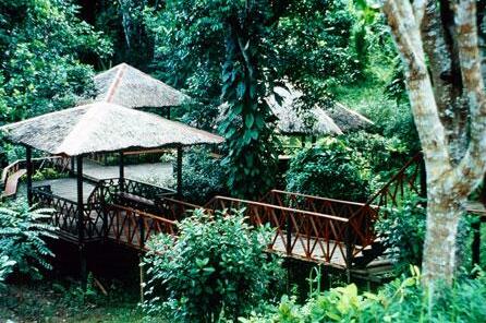 Sepilok Jungle Resort - Photo5