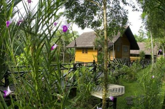 Sepilok Nature Resort - Photo3