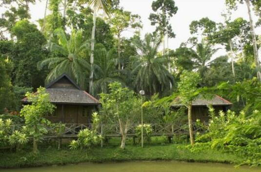 Sepilok Nature Resort - Photo4