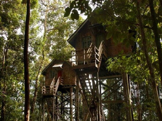 Permai Rainforest Resort - Photo2