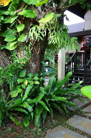 The Village House - Photo3