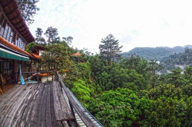 Langit Rimba Resort - Photo5