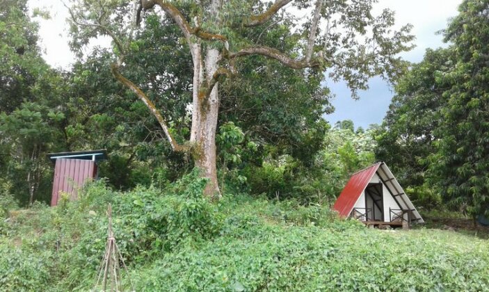 The Forest Cabin - Photo2