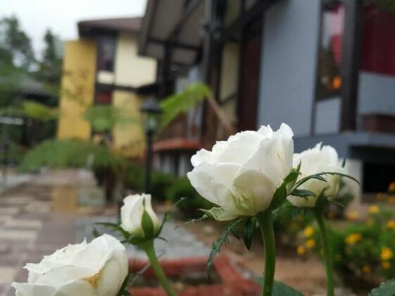 Casa Loma Cameron Highlands - Photo5