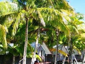 Roach Reefs Resort - Photo5