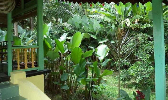 Sutra Cabin - Photo5