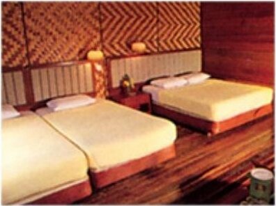 Tioman Paya Resort - Photo3