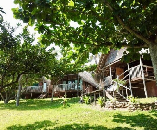Anastasea Palm Tree Garden Lodging - Photo4