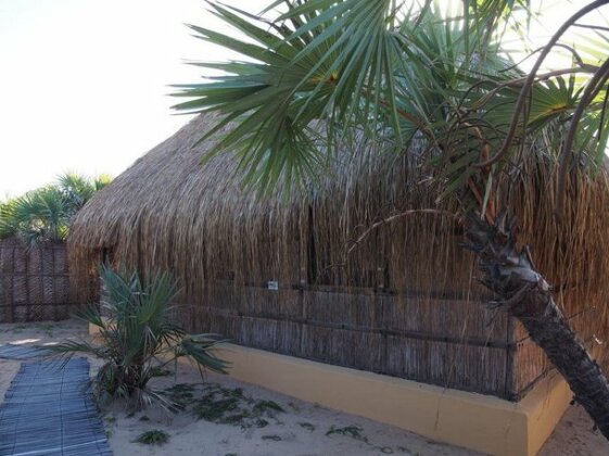 Mango Beach Lodge - Photo2