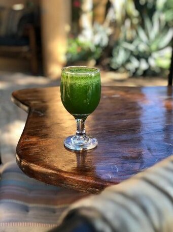 Turtle Cove Lodge and Yoga Shala - Photo2