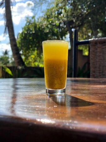 Turtle Cove Lodge and Yoga Shala - Photo3