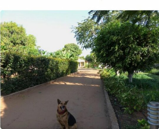 Ancha's Oasis - Photo2