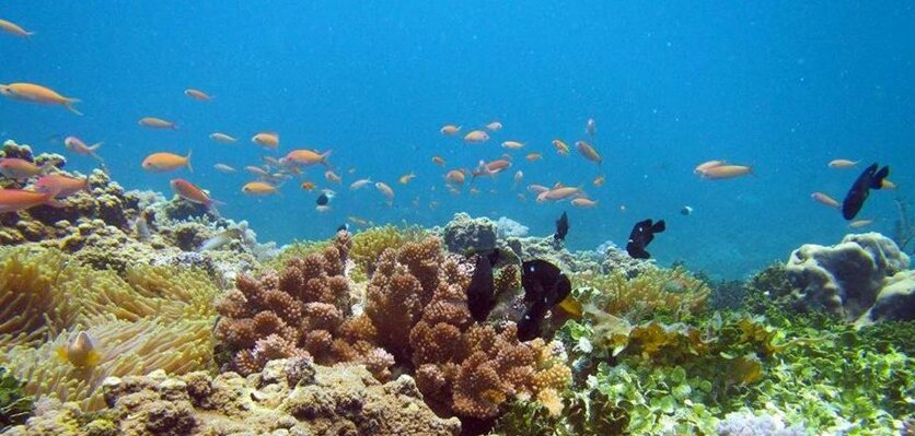 Situ Island - Photo5