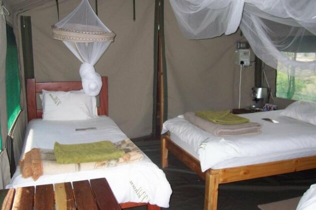 Ndhovu Safari Lodge - Photo5