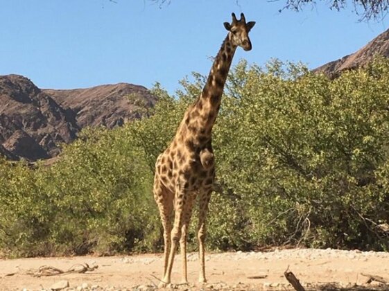Twyfelfontein Tented Camp - Photo2